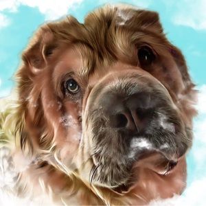 Meet your Posher, Oliver’s Resale And More